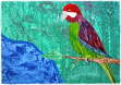 Papagei(DirkWerner)_web